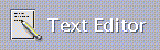 Front Panel item of Text Editor